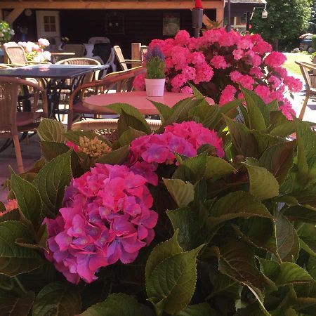 Boerderijcamping Plantlust Veere Eksteriør bilde
