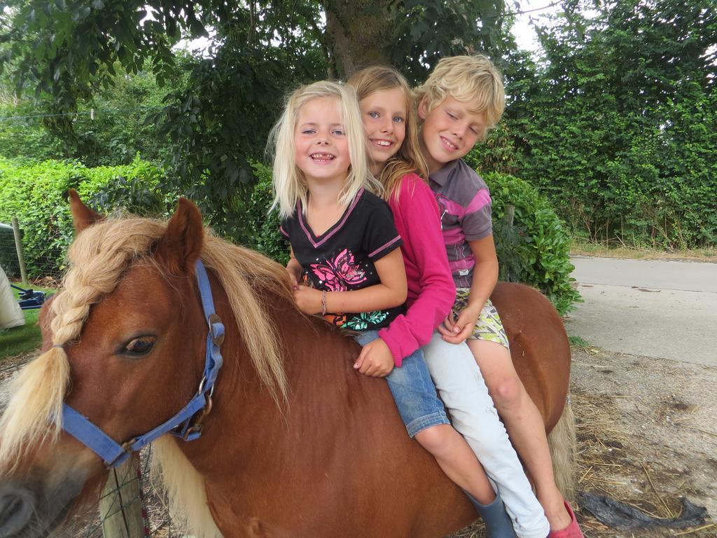 Boerderijcamping Plantlust Veere Rom bilde