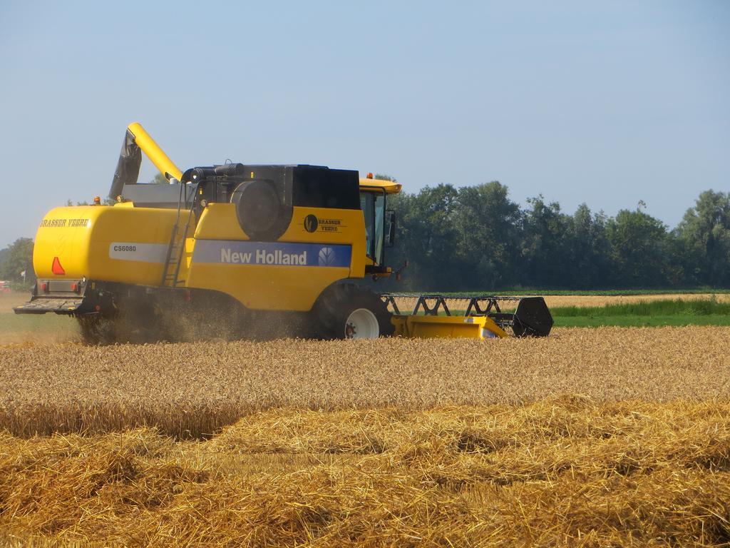 Boerderijcamping Plantlust Veere Rom bilde